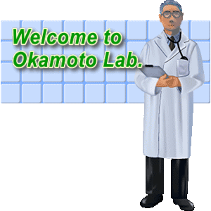 Welome to Okamoto Lab.